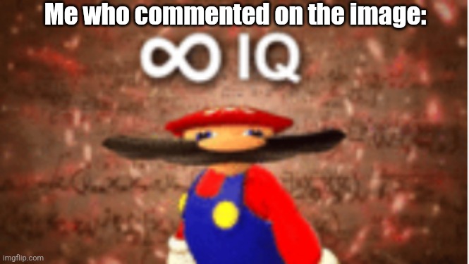 Infinite IQ | Me who commented on the image: | image tagged in infinite iq | made w/ Imgflip meme maker