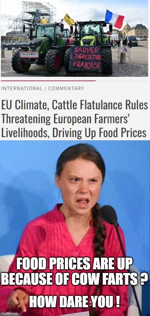 Dare to be different | FOOD PRICES ARE UP BECAUSE OF COW FARTS ? HOW DARE YOU ! | image tagged in greta thunberg how dare you,greta,climate change,liberals,leftists | made w/ Imgflip meme maker