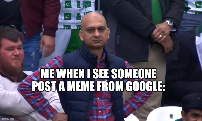 Y | ME WHEN I SEE SOMEONE POST A MEME FROM GOOGLE: | image tagged in disappointed cricket fan | made w/ Imgflip meme maker