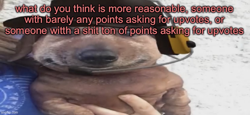 chucklenuts | what do you think is more reasonable, someone with barely any points asking for upvotes, or someone witth a shit ton of points asking for upvotes | image tagged in chucklenuts | made w/ Imgflip meme maker