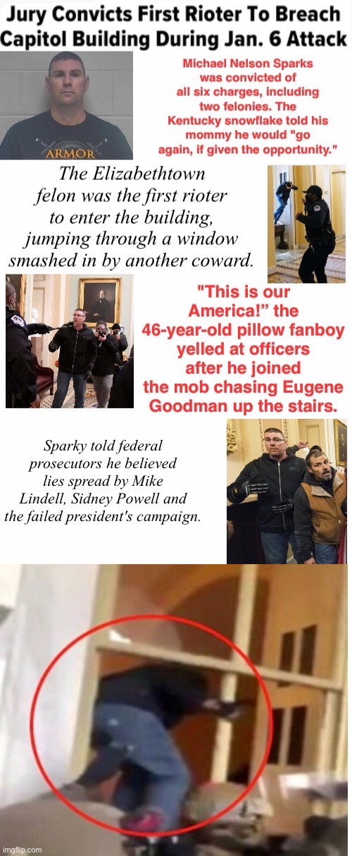 Mike Was Proved Wrong | image tagged in domestic terrorist,treason,fat burglar,ass on broken glass,traitor,loser losing | made w/ Imgflip meme maker