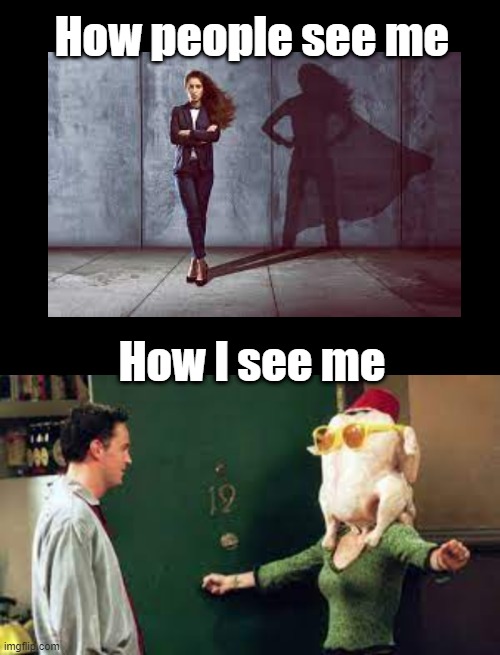 hero vs goober | How people see me; How I see me | image tagged in business woman,hero,friends,silly | made w/ Imgflip meme maker