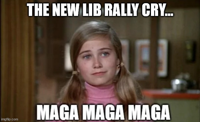 MAGA MAGA MAGA... | THE NEW LIB RALLY CRY... | image tagged in triggered,liberals | made w/ Imgflip meme maker
