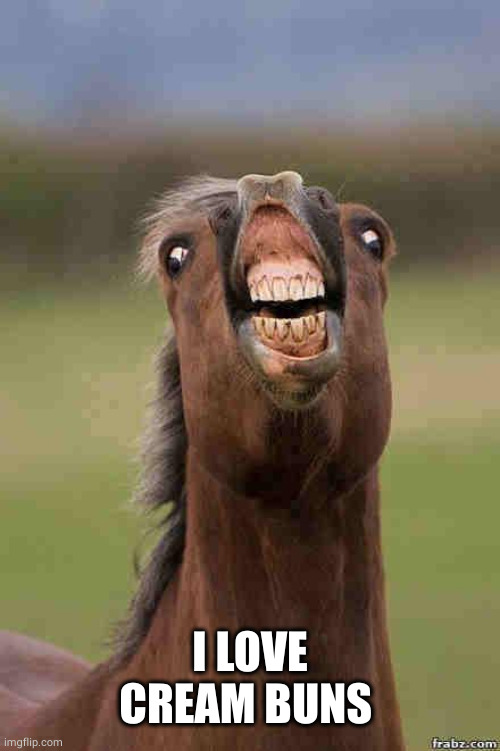 horse face | I LOVE CREAM BUNS | image tagged in horse face | made w/ Imgflip meme maker