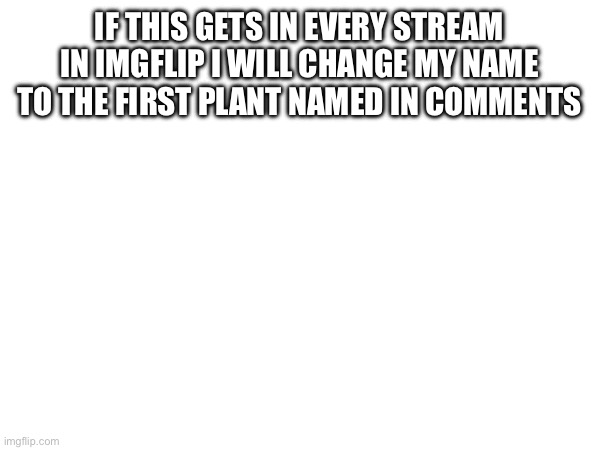 I will. | IF THIS GETS IN EVERY STREAM IN IMGFLIP I WILL CHANGE MY NAME TO THE FIRST PLANT NAMED IN COMMENTS | image tagged in hfkfnfjjdbbrjrj,why are you reading the tags,why are you gay | made w/ Imgflip meme maker