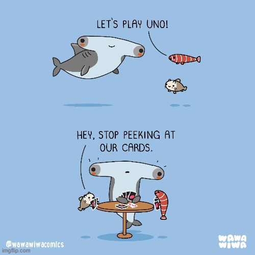 image tagged in fish,catfish,hammerhead shark,uno | made w/ Imgflip meme maker