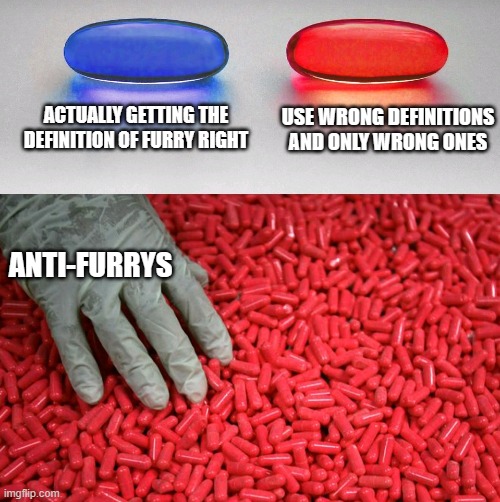 If only they got the definition right for once | ACTUALLY GETTING THE DEFINITION OF FURRY RIGHT; USE WRONG DEFINITIONS AND ONLY WRONG ONES; ANTI-FURRYS | image tagged in blue or red pill,furry | made w/ Imgflip meme maker