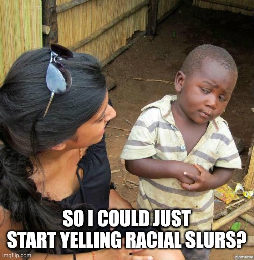 black kid | SO I COULD JUST START YELLING RACIAL SLURS? | image tagged in black kid | made w/ Imgflip meme maker