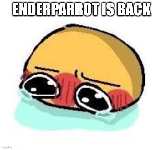 amb shamb bbbmba | ENDERPARROT IS BACK | image tagged in amb shamb bbbmba | made w/ Imgflip meme maker