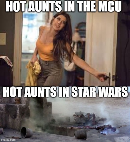 Sick Burn | HOT AUNTS IN THE MCU; HOT AUNTS IN STAR WARS | image tagged in aunt may,sick burn uncle owen | made w/ Imgflip meme maker