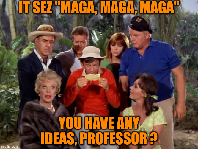Reading Is Fundamental | IT SEZ "MAGA, MAGA, MAGA" YOU HAVE ANY IDEAS, PROFESSOR ? | image tagged in gilligan s island reading letter,funny memes,memes | made w/ Imgflip meme maker