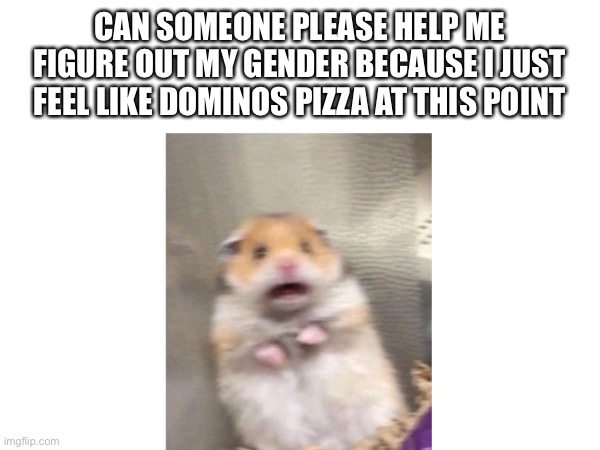 Gender dysphoria but ✨aesthetic✨ | CAN SOMEONE PLEASE HELP ME FIGURE OUT MY GENDER BECAUSE I JUST FEEL LIKE DOMINOS PIZZA AT THIS POINT | image tagged in lgbtq | made w/ Imgflip meme maker