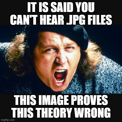 You Can Hear This Image | IT IS SAID YOU CAN'T HEAR .JPG FILES; THIS IMAGE PROVES THIS THEORY WRONG | image tagged in sam kinison trump | made w/ Imgflip meme maker