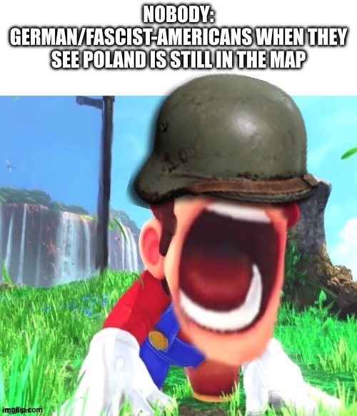 mario screaming | NOBODY:
GERMAN/FASCIST-AMERICANS WHEN THEY SEE POLAND IS STILL IN THE MAP | image tagged in mario screaming | made w/ Imgflip meme maker