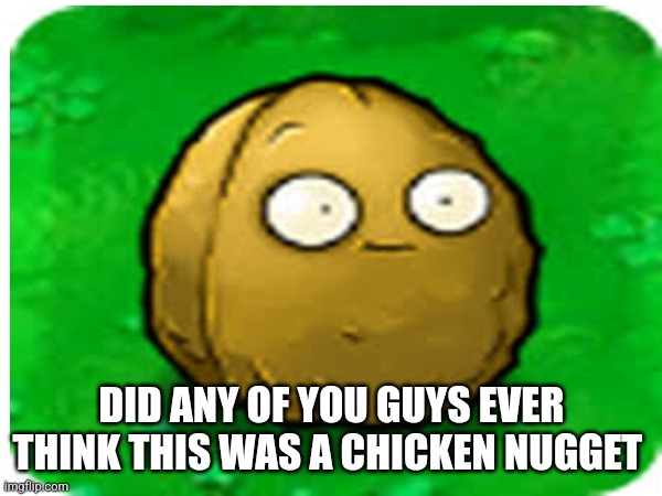 I always did | DID ANY OF YOU GUYS EVER THINK THIS WAS A CHICKEN NUGGET | image tagged in tag | made w/ Imgflip meme maker