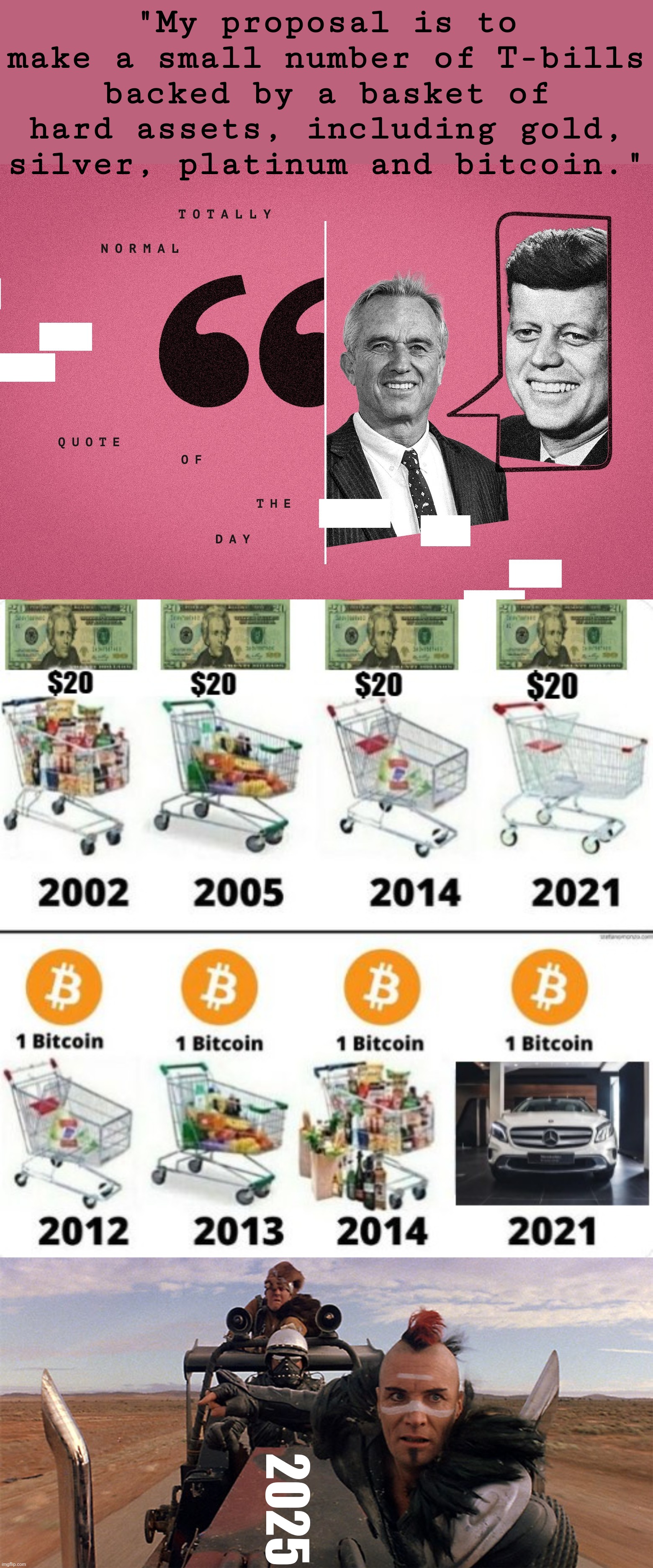 Totally normal quote of the day.  What will one Bitcoin buy in 2025? | "My proposal is to make a small number of T-bills backed by a basket of hard assets, including gold, silver, platinum and bitcoin."; 2025 | image tagged in rfk jr,bitcoin,basket,assets,inflation,election 2024 | made w/ Imgflip meme maker