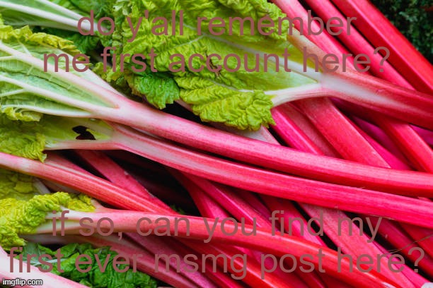 rhubarb | do y'all remember me first account here? if so, can you find my first ever msmg post here? | image tagged in rhubarb | made w/ Imgflip meme maker