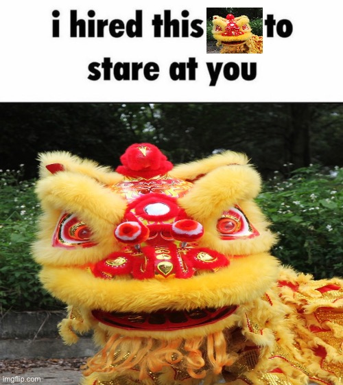 I hired this Fox to stare at you | image tagged in i hired this fox to stare at you,memes,humor,shitpost,lol,lion dance | made w/ Imgflip meme maker