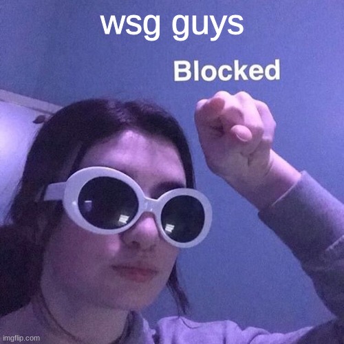 did anything happen | wsg guys | image tagged in blocked 2 | made w/ Imgflip meme maker
