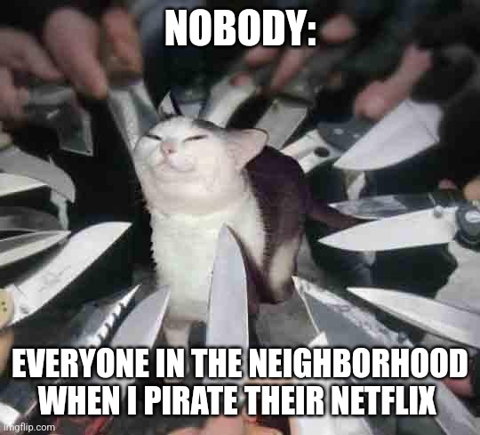 Netflix pirate | NOBODY:; EVERYONE IN THE NEIGHBORHOOD WHEN I PIRATE THEIR NETFLIX | image tagged in knife cat,jpfan102504 | made w/ Imgflip meme maker