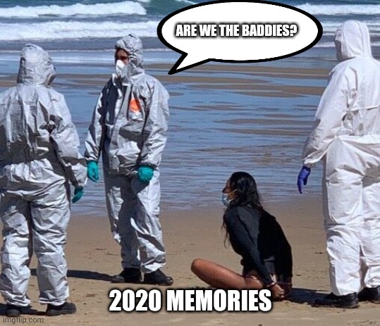 Gov is too powerful is it too late? | ARE WE THE BADDIES? 2020 MEMORIES | image tagged in government,covid-19,2020,science,day at the beach | made w/ Imgflip meme maker