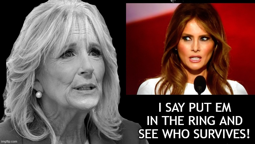 Let the Wives Duke It Out | I SAY PUT EM IN THE RING AND SEE WHO SURVIVES! | image tagged in random thoughts jill biden | made w/ Imgflip meme maker