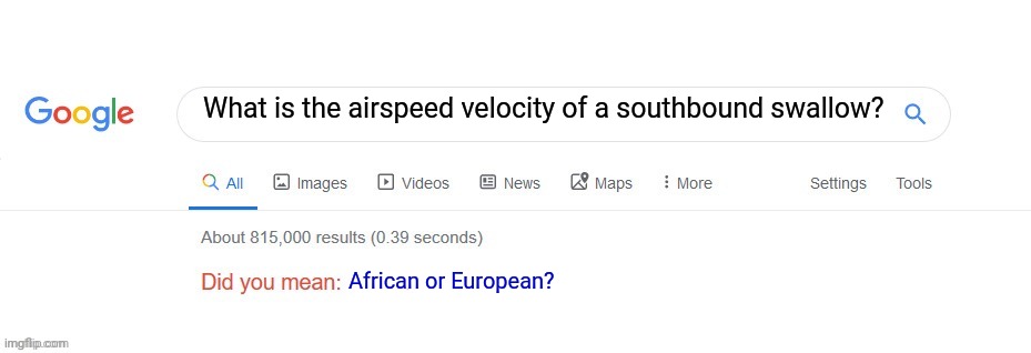 Monty Python now owns google | What is the airspeed velocity of a southbound swallow? African or European? | image tagged in did you mean,monty python and the holy grail,southbound swallow | made w/ Imgflip meme maker