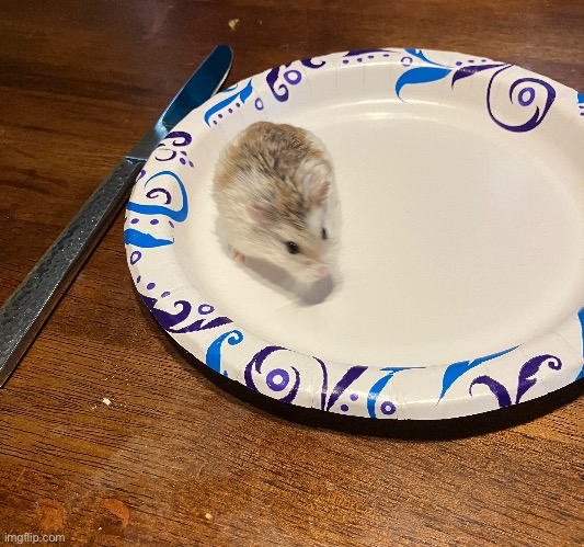 Lunch | made w/ Imgflip meme maker