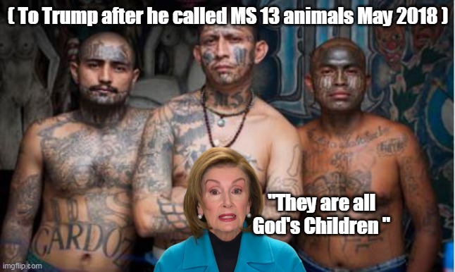 ( To Trump after he called MS 13 animals May 2018 ) "They are all God's Children " | made w/ Imgflip meme maker