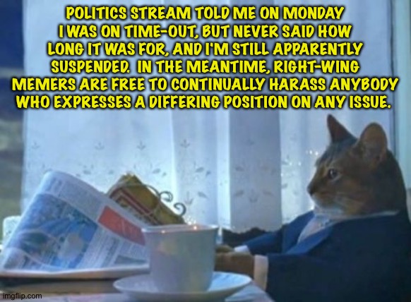If it wasn't for for double standards, they'd have no standards at all. | POLITICS STREAM TOLD ME ON MONDAY I WAS ON TIME-OUT, BUT NEVER SAID HOW LONG IT WAS FOR, AND I'M STILL APPARENTLY SUSPENDED.  IN THE MEANTIME, RIGHT-WING MEMERS ARE FREE TO CONTINUALLY HARASS ANYBODY WHO EXPRESSES A DIFFERING POSITION ON ANY ISSUE. | image tagged in memes,i should buy a boat cat | made w/ Imgflip meme maker