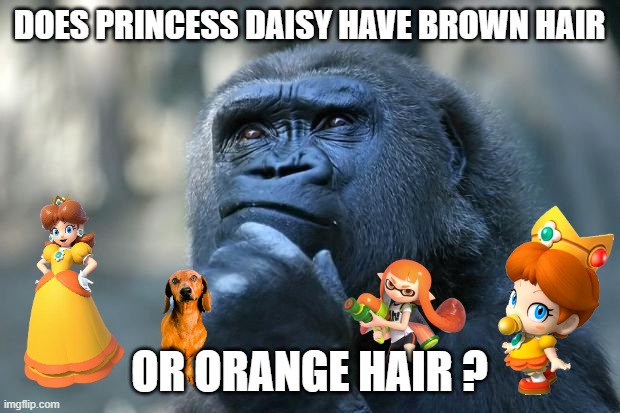 super mario questions | DOES PRINCESS DAISY HAVE BROWN HAIR; OR ORANGE HAIR ? | image tagged in deep thoughts,mario,daisy,questions,brown | made w/ Imgflip meme maker