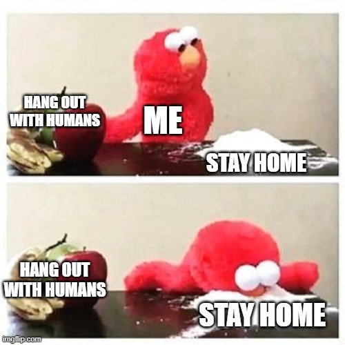 That is totally me | HANG OUT WITH HUMANS; ME; STAY HOME; HANG OUT WITH HUMANS; STAY HOME | image tagged in elmo cocaine | made w/ Imgflip meme maker