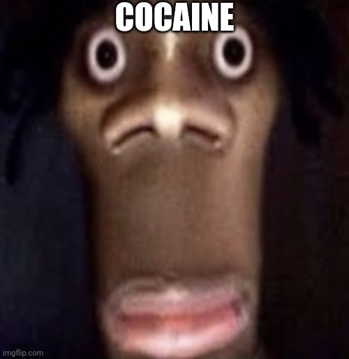 Quandale dingle | COCAINE | image tagged in quandale dingle | made w/ Imgflip meme maker