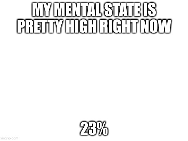 MY MENTAL STATE IS PRETTY HIGH RIGHT NOW; 23% | made w/ Imgflip meme maker