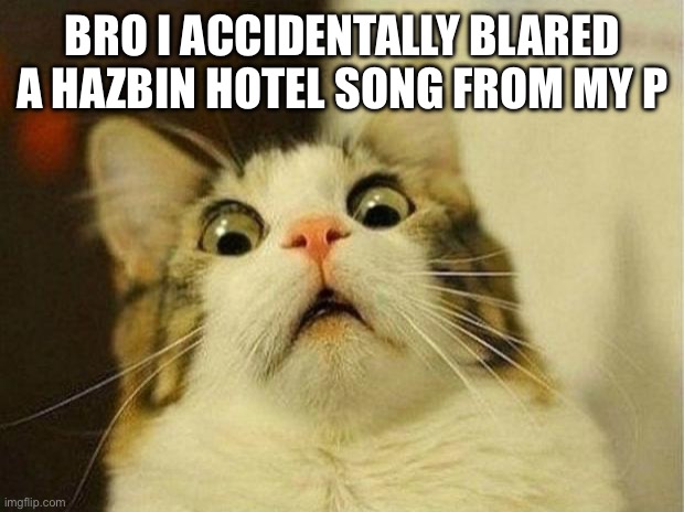 Scared Cat | BRO I ACCIDENTALLY BLARED A HAZBIN HOTEL SONG FROM MY PHONE | image tagged in memes,scared cat | made w/ Imgflip meme maker