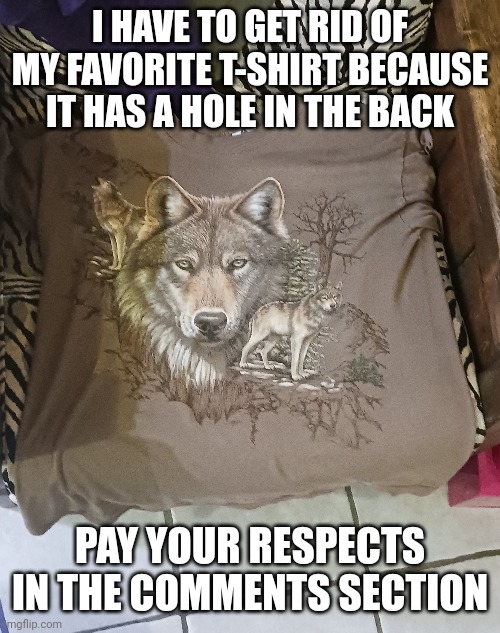 Tis very sad indeed :-( | I HAVE TO GET RID OF MY FAVORITE T-SHIRT BECAUSE IT HAS A HOLE IN THE BACK; PAY YOUR RESPECTS IN THE COMMENTS SECTION | made w/ Imgflip meme maker