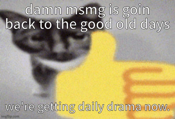 what's going on this time | damn msmg is goin back to the good old days; we're getting daily drama now. | image tagged in thumbs up cat | made w/ Imgflip meme maker