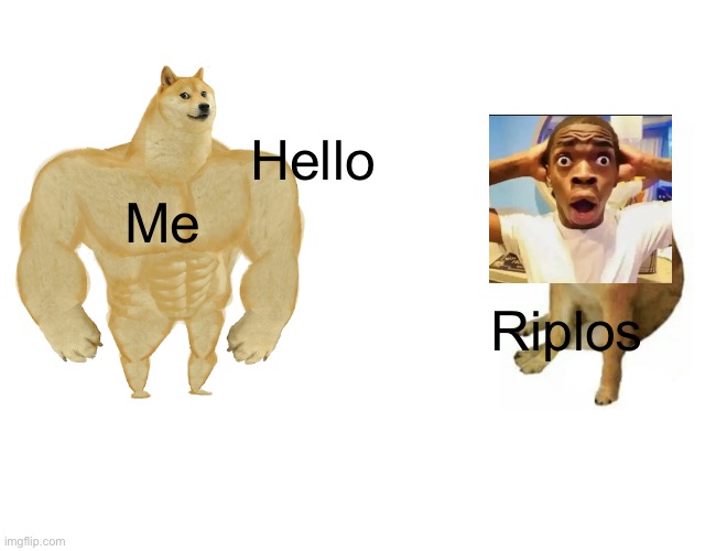 I broke him and he started spamming that | Hello; Me; Riplos | image tagged in memes,buff doge vs cheems | made w/ Imgflip meme maker