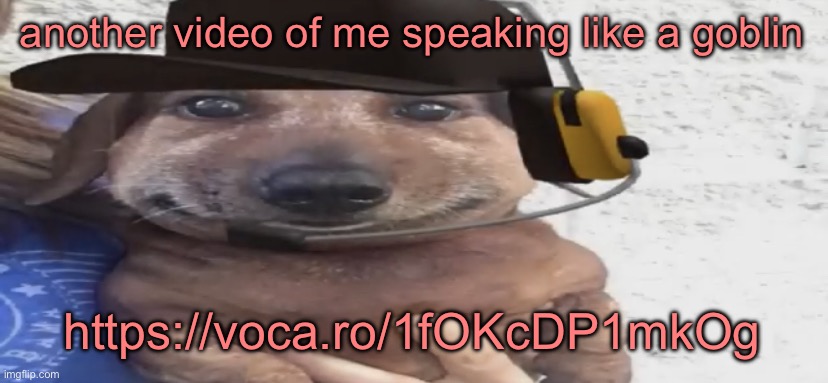 chucklenuts | another video of me speaking like a goblin; https://voca.ro/1fOKcDP1mkOg | image tagged in chucklenuts | made w/ Imgflip meme maker