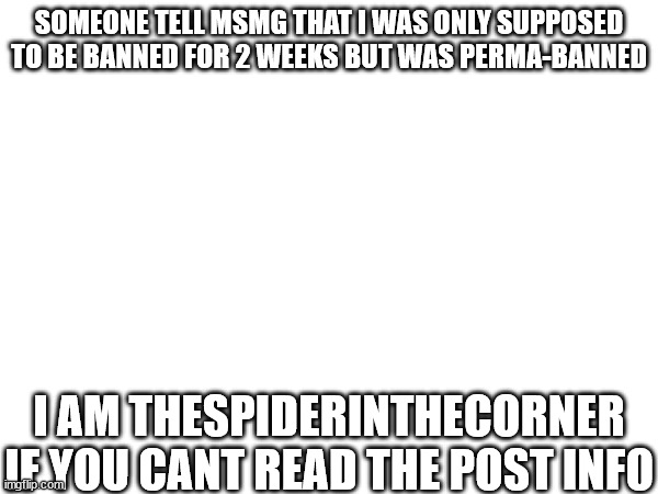 somebody be my messenger | SOMEONE TELL MSMG THAT I WAS ONLY SUPPOSED TO BE BANNED FOR 2 WEEKS BUT WAS PERMA-BANNED; I AM THESPIDERINTHECORNER IF YOU CANT READ THE POST INFO | made w/ Imgflip meme maker