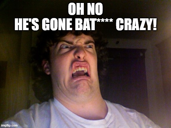 Oh No Meme | OH NO
HE'S GONE BAT**** CRAZY! | image tagged in memes,oh no | made w/ Imgflip meme maker