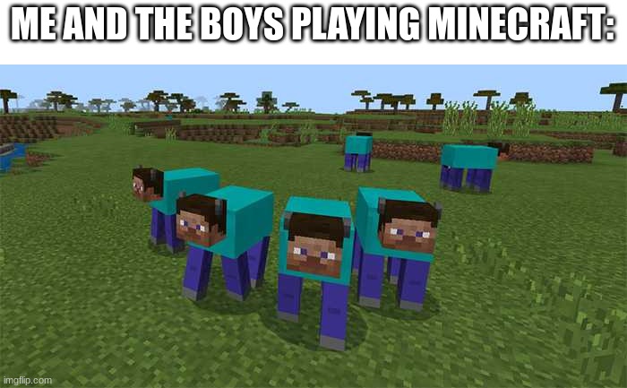 me and the boys | ME AND THE BOYS PLAYING MINECRAFT: | image tagged in me and the boys | made w/ Imgflip meme maker