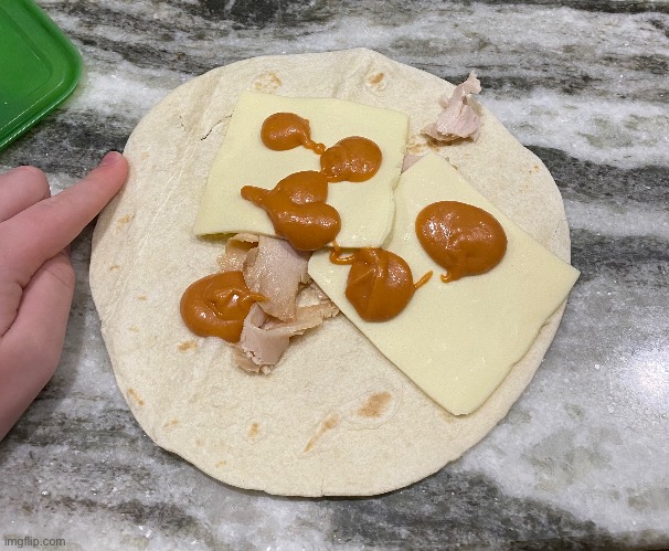 ham and cheese wrap (i cooked!!!) | made w/ Imgflip meme maker