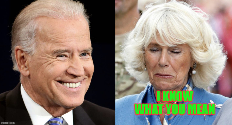 Biden and Camilla | I KNOW WHAT YOU MEAN | image tagged in biden and camilla | made w/ Imgflip meme maker
