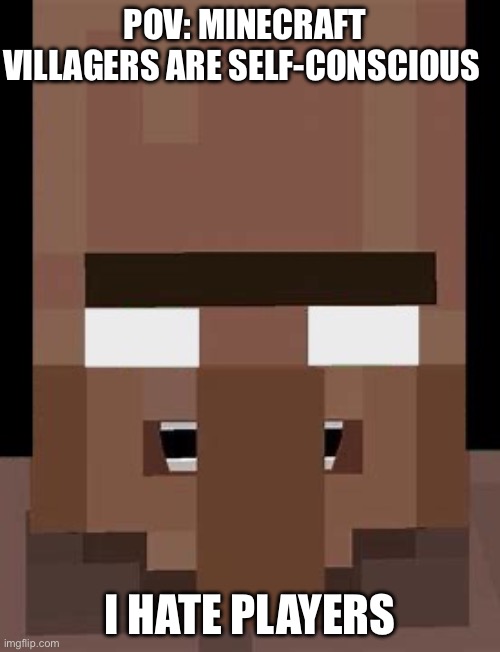 Self-conscious Villager | POV: MINECRAFT VILLAGERS ARE SELF-CONSCIOUS; I HATE PLAYERS | image tagged in minecraft villagers | made w/ Imgflip meme maker