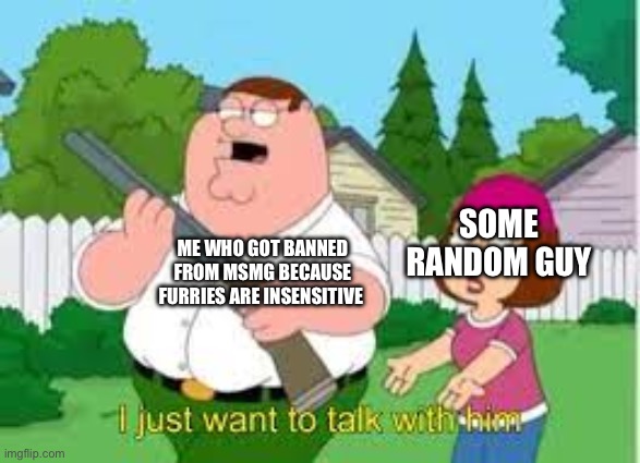 i just want to talk with him | SOME RANDOM GUY; ME WHO GOT BANNED FROM MSMG BECAUSE FURRIES ARE INSENSITIVE | image tagged in i just want to talk with him | made w/ Imgflip meme maker