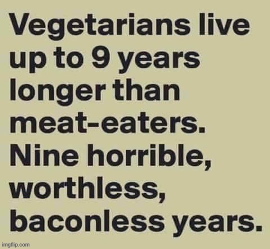 A wasted life ! | image tagged in iwanttobebacon | made w/ Imgflip meme maker