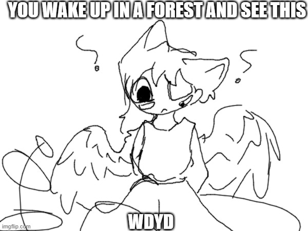 Rp | YOU WAKE UP IN A FOREST AND SEE THIS; WDYD | made w/ Imgflip meme maker