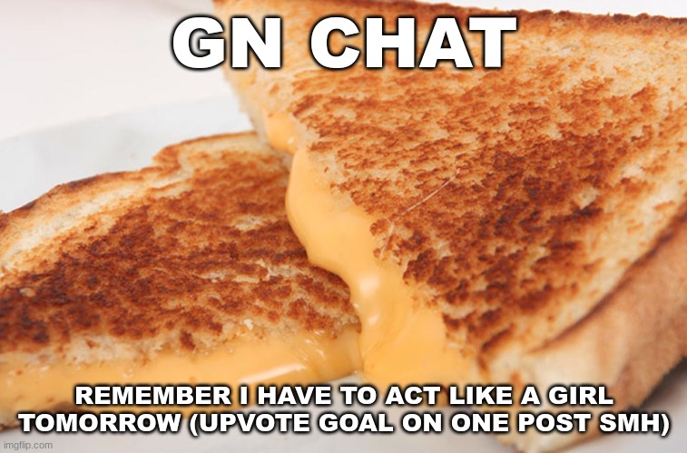 D:< | GN CHAT; REMEMBER I HAVE TO ACT LIKE A GIRL TOMORROW (UPVOTE GOAL ON ONE POST SMH) | image tagged in grilled cheese | made w/ Imgflip meme maker