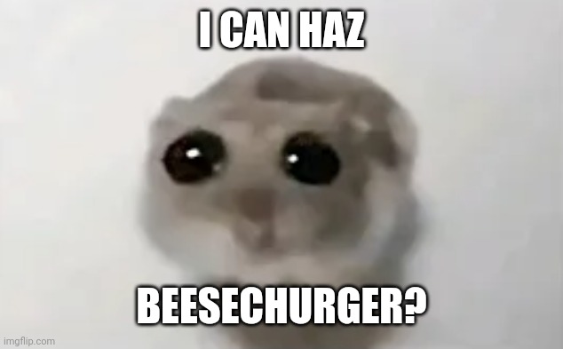 I CAN HAZ; BEESECHURGER? | image tagged in memes,sad,burger | made w/ Imgflip meme maker